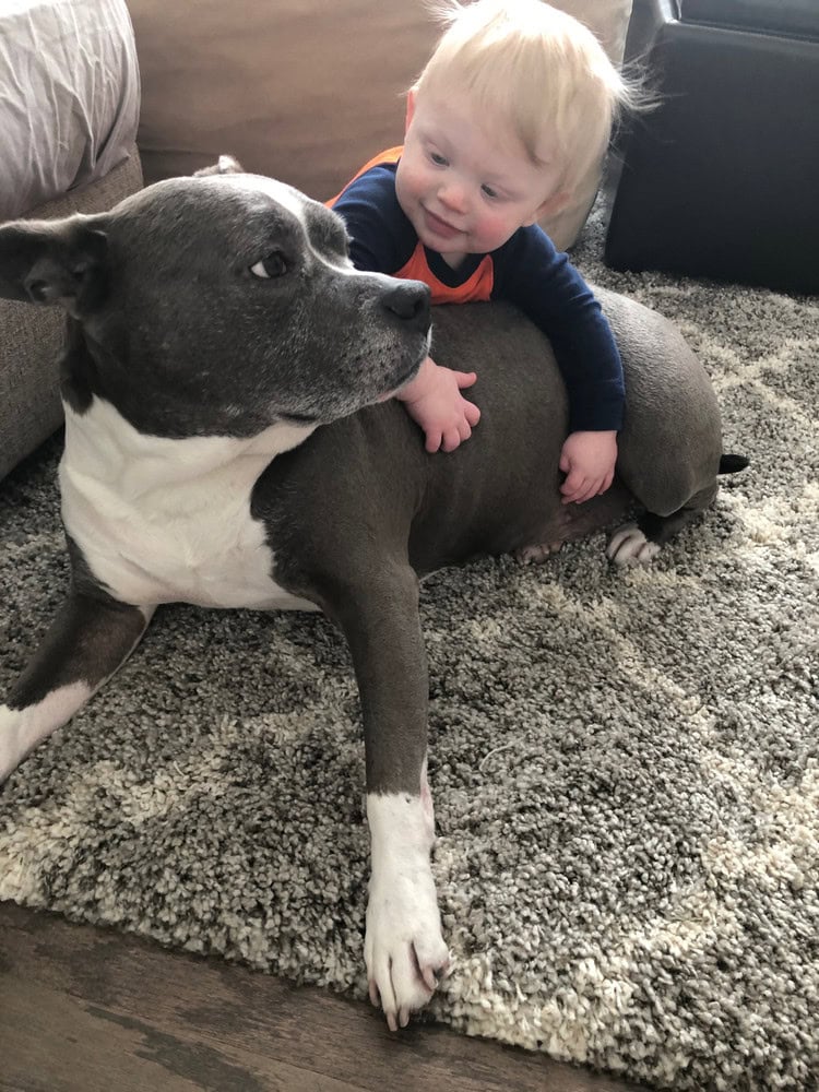 Young child and large dog lying on a carpeted floor.